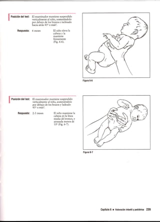Pruebas Funcionales Musculares  Daniels 6a Edicion