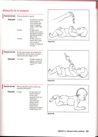 Pruebas Funcionales Musculares  Daniels 6a Edicion