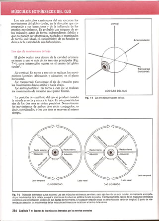Pruebas Funcionales Musculares  Daniels 6a Edicion