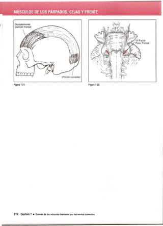Pruebas Funcionales Musculares  Daniels 6a Edicion