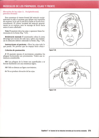 Pruebas Funcionales Musculares  Daniels 6a Edicion