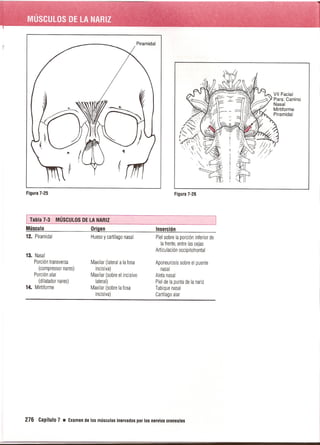 Pruebas Funcionales Musculares  Daniels 6a Edicion