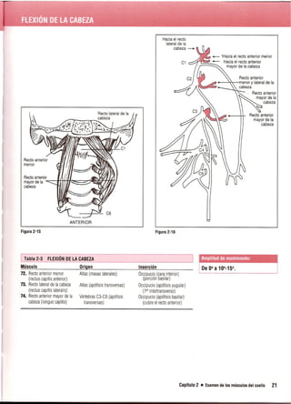 Pruebas Funcionales Musculares  Daniels 6a Edicion