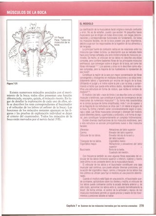 Pruebas Funcionales Musculares  Daniels 6a Edicion
