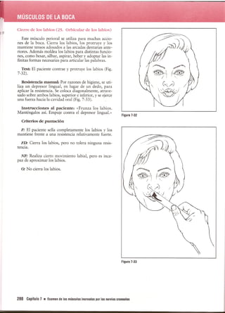 Pruebas Funcionales Musculares  Daniels 6a Edicion