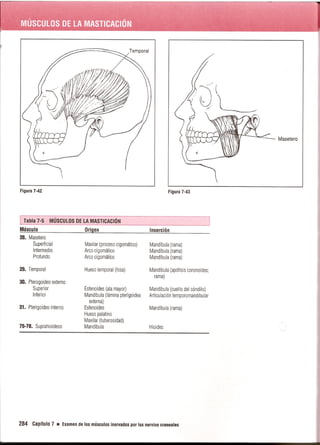 Pruebas Funcionales Musculares  Daniels 6a Edicion