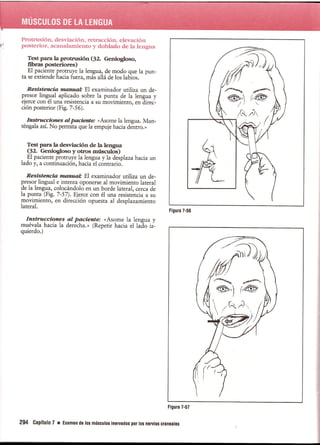 Pruebas Funcionales Musculares  Daniels 6a Edicion