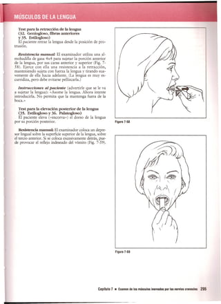 Pruebas Funcionales Musculares  Daniels 6a Edicion