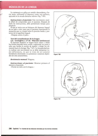 Pruebas Funcionales Musculares  Daniels 6a Edicion