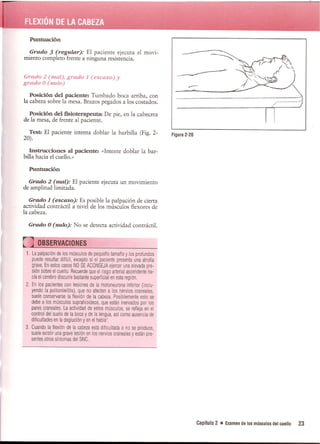 Pruebas Funcionales Musculares  Daniels 6a Edicion