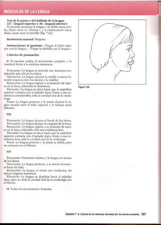Pruebas Funcionales Musculares  Daniels 6a Edicion