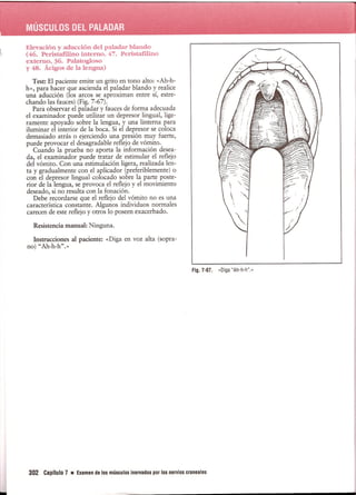 Pruebas Funcionales Musculares  Daniels 6a Edicion