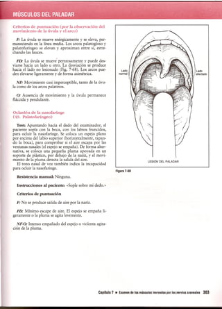Pruebas Funcionales Musculares  Daniels 6a Edicion