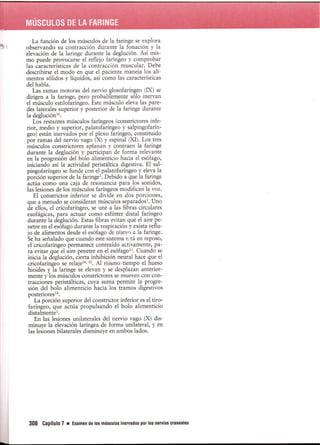 Pruebas Funcionales Musculares  Daniels 6a Edicion