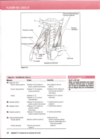 Pruebas Funcionales Musculares  Daniels 6a Edicion