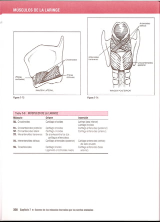 Pruebas Funcionales Musculares  Daniels 6a Edicion