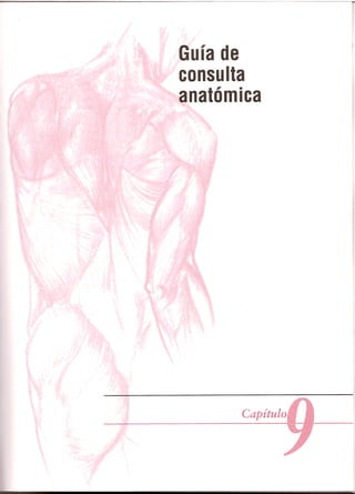 Pruebas Funcionales Musculares  Daniels 6a Edicion