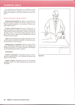 Pruebas Funcionales Musculares  Daniels 6a Edicion