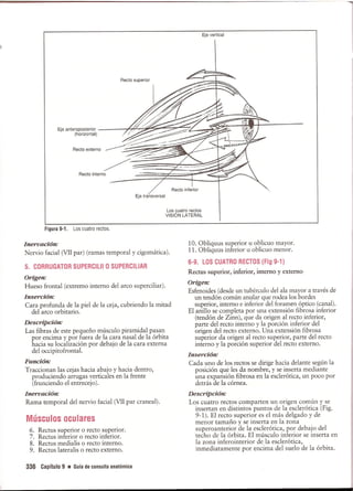 Pruebas Funcionales Musculares  Daniels 6a Edicion