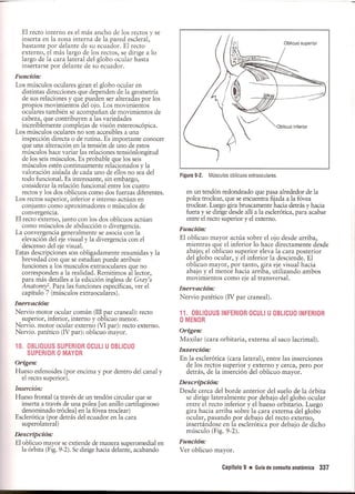 Pruebas Funcionales Musculares  Daniels 6a Edicion
