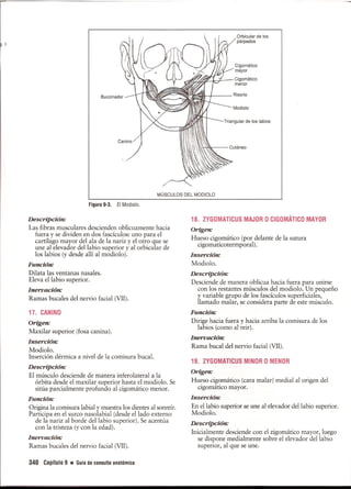 Pruebas Funcionales Musculares  Daniels 6a Edicion