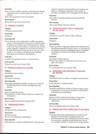Pruebas Funcionales Musculares  Daniels 6a Edicion