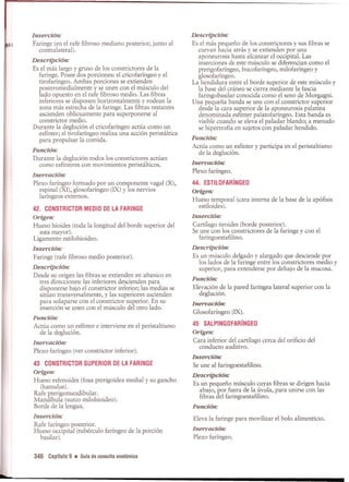 Pruebas Funcionales Musculares  Daniels 6a Edicion