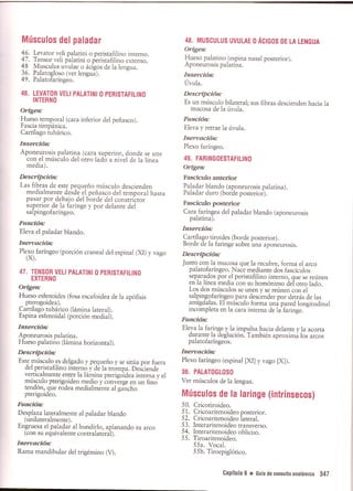 Pruebas Funcionales Musculares  Daniels 6a Edicion