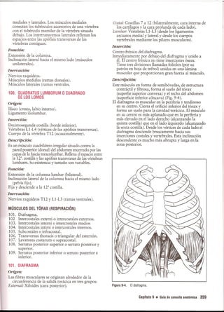 Pruebas Funcionales Musculares  Daniels 6a Edicion