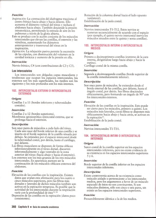 Pruebas Funcionales Musculares  Daniels 6a Edicion