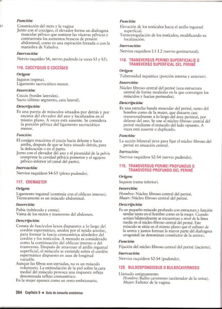 Pruebas Funcionales Musculares  Daniels 6a Edicion