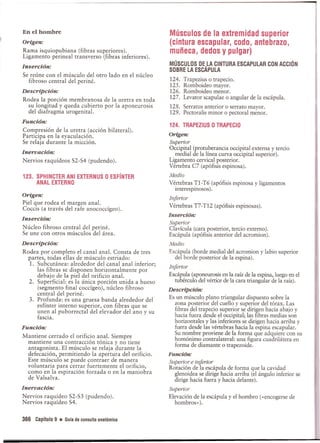 Pruebas Funcionales Musculares  Daniels 6a Edicion