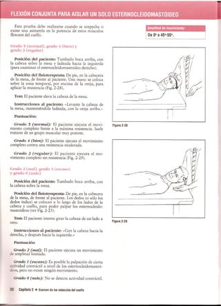 Pruebas Funcionales Musculares  Daniels 6a Edicion