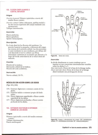 Pruebas Funcionales Musculares  Daniels 6a Edicion