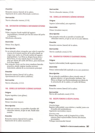 Pruebas Funcionales Musculares  Daniels 6a Edicion