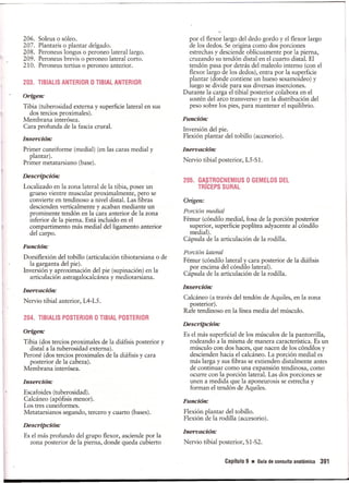 Pruebas Funcionales Musculares  Daniels 6a Edicion