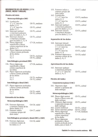Pruebas Funcionales Musculares  Daniels 6a Edicion