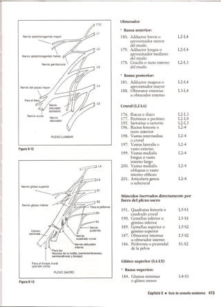 Pruebas Funcionales Musculares  Daniels 6a Edicion
