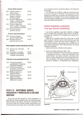Pruebas Funcionales Musculares  Daniels 6a Edicion