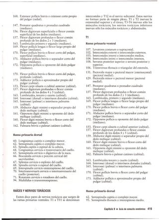 Pruebas Funcionales Musculares  Daniels 6a Edicion
