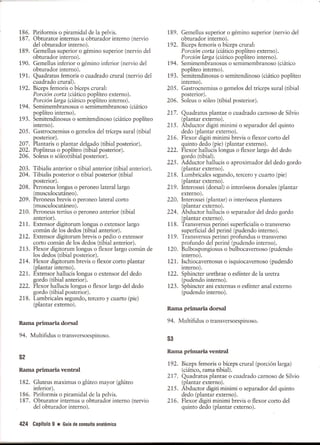 Pruebas Funcionales Musculares  Daniels 6a Edicion