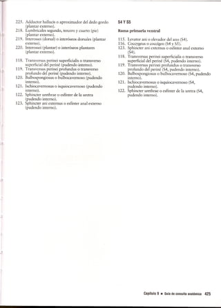 Pruebas Funcionales Musculares  Daniels 6a Edicion