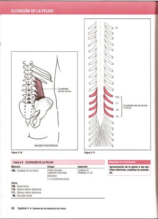 Pruebas Funcionales Musculares  Daniels 6a Edicion