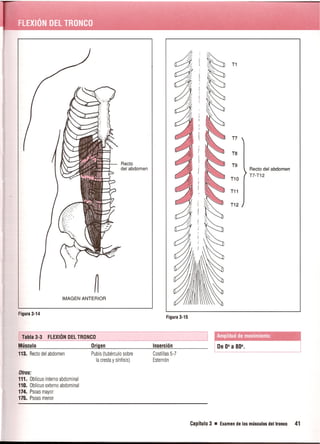 Pruebas Funcionales Musculares  Daniels 6a Edicion