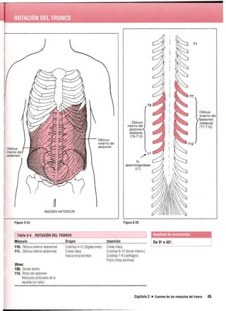 Pruebas Funcionales Musculares  Daniels 6a Edicion