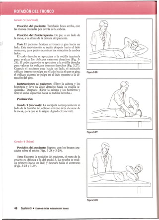 Pruebas Funcionales Musculares  Daniels 6a Edicion