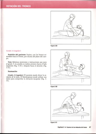 Pruebas Funcionales Musculares  Daniels 6a Edicion
