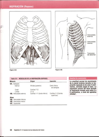 Pruebas Funcionales Musculares  Daniels 6a Edicion