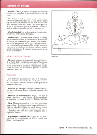 Pruebas Funcionales Musculares  Daniels 6a Edicion