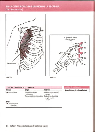 Pruebas Funcionales Musculares  Daniels 6a Edicion